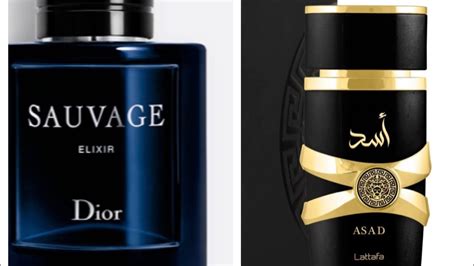 best dior sauvage elixir clone|lattafa asad vs sauvage elixir.